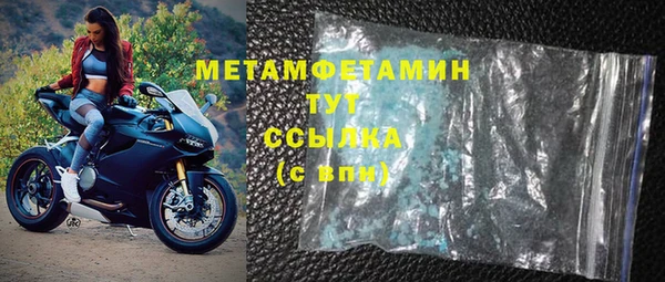 прущие грибы Бронницы