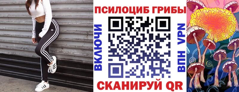Галлюциногенные грибы ЛСД  дарнет шоп  Звенигово 